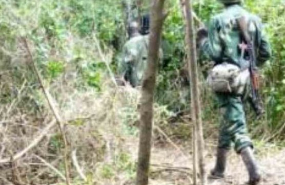 DRC: Watu 19 wameuawa na kituo cha afya kuvamiwa wakati wa shambulizi la ADF 