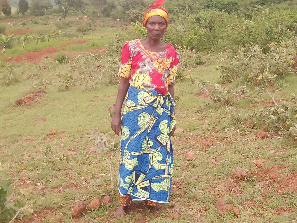 Watu 12 wafariki  kufuatia mvua kali iliyonyesha kwenye Krismasi