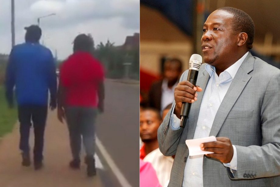 GridArt 20241227 144704705