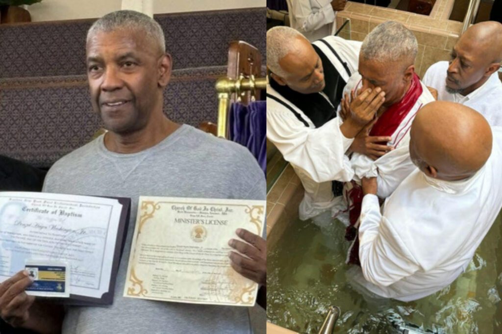 InShot 20241223 080749059