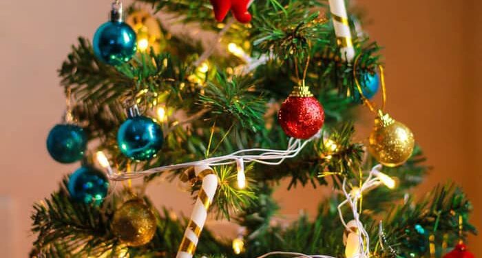 WhatsApp Image 2020 12 25 at 12.39.25 PM 700x375 1