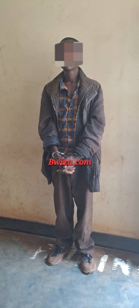 img 20241207 wa0078 4733e