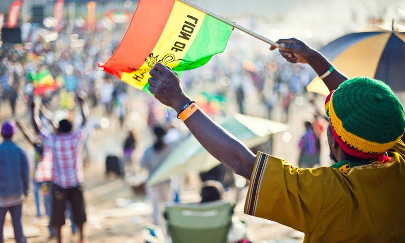 rasta lion cannabis culture