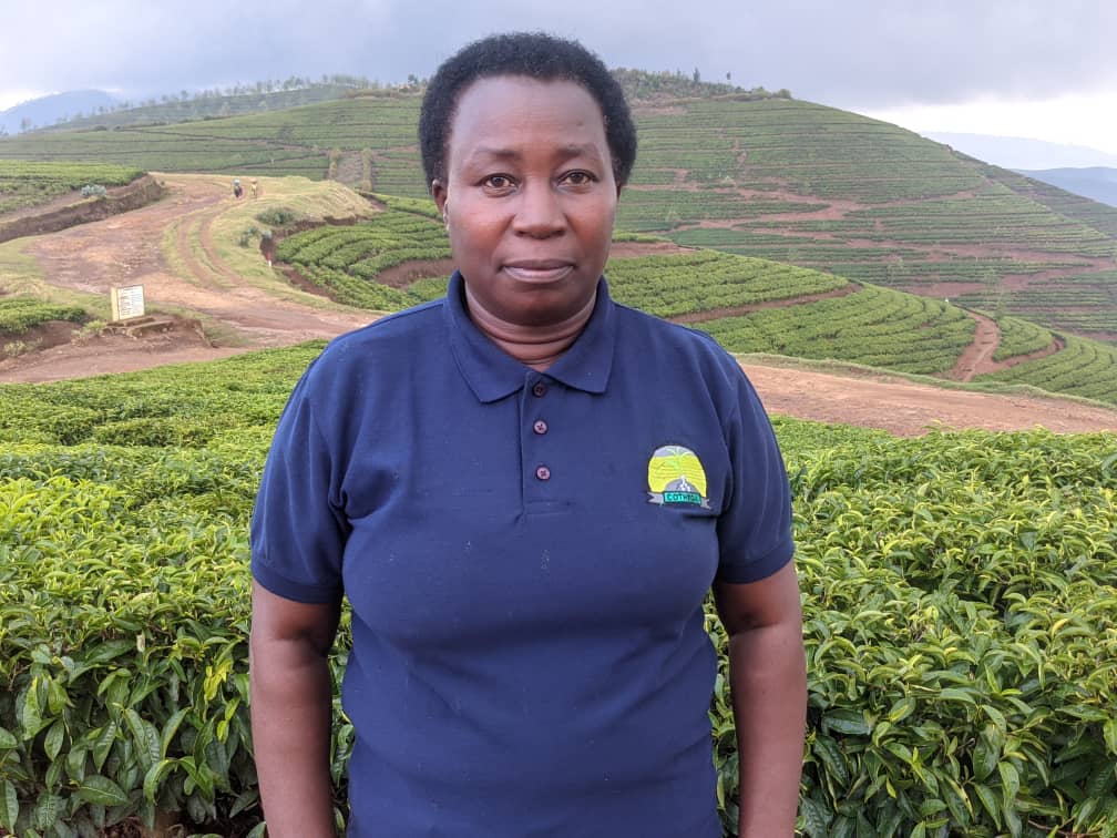 Nyamasheke: Abahinzi b'icyayi barasaba Leta ubufasha ngo bishyure hafi Frw miliyari 2.5 babereyemo BRD 2 IMG 20250111 WA0000