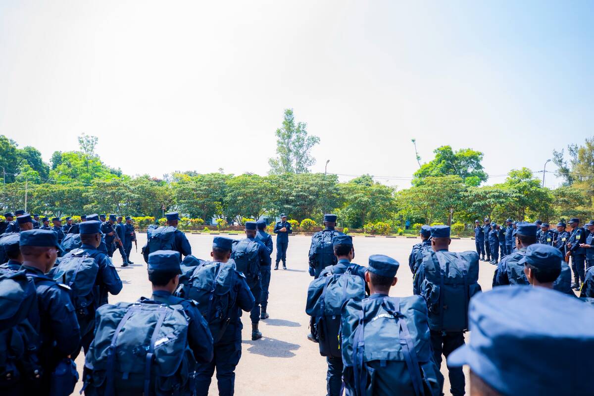 csm WhatsApp Image 2025 01 13 at 16.52.01 7d1d31f0 55ab9b4e2e