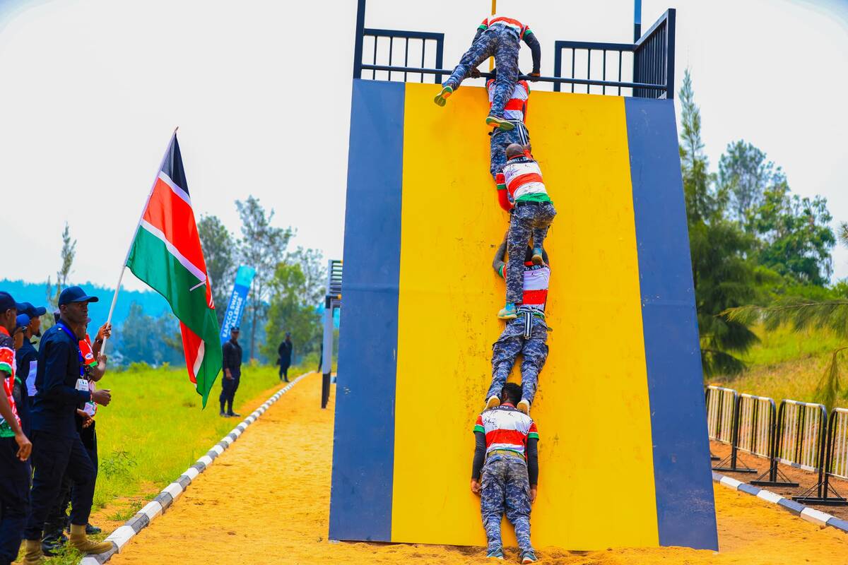 csm WhatsApp Image 2025 01 29 at 21.59.10 b366e63a 0398f5779c