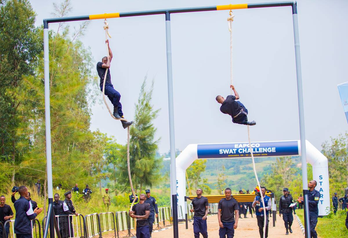 csm WhatsApp Image 2025 01 29 at 21.59.14 25f6afda 8fe92b24c3 1