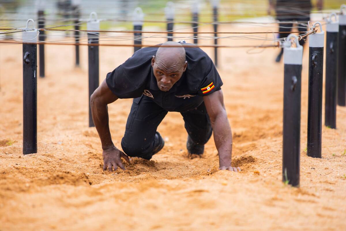 csm WhatsApp Image 2025 01 29 at 21.59.17 2c61aa5b bf04d92822