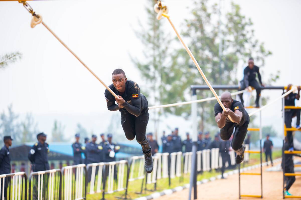 csm WhatsApp Image 2025 01 29 at 21.59.17 2df4e6ad aeccb4ffbe