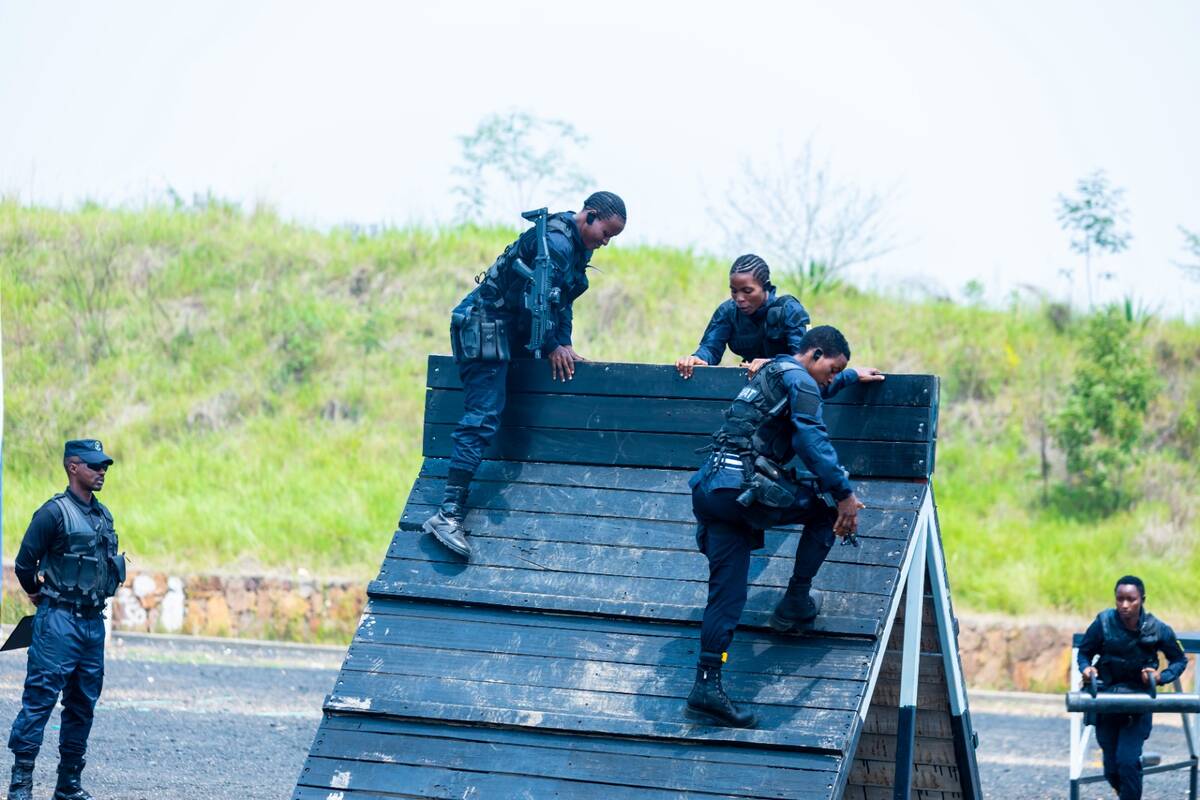 csm WhatsApp Image 2025 01 30 at 21.18.58 12cfbafc a256cd6f07