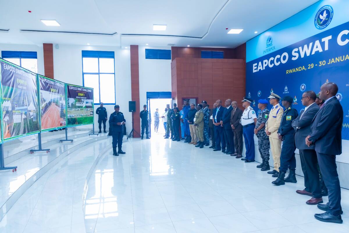 csm WhatsApp Image 2025 01 30 at 21.18.59 9f880f7f 5490df2809