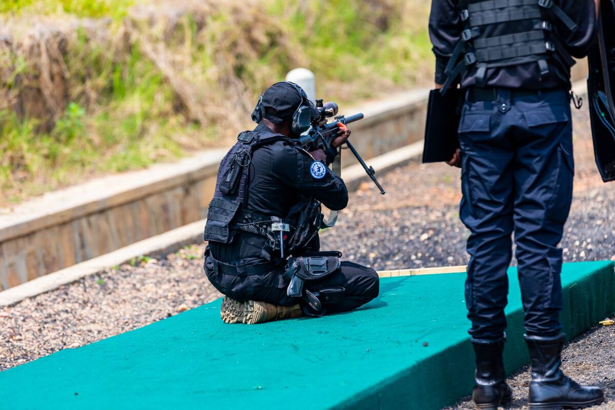 csm WhatsApp Image 2025 01 30 at 21.19.10 b4bd2bab eb907afc4e