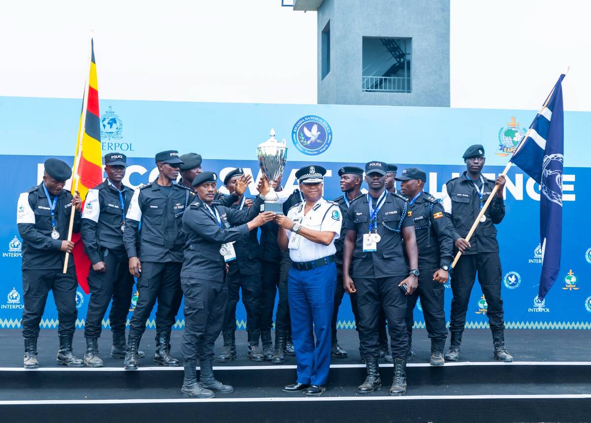 csm WhatsApp Image 2025 01 30 at 21.19.17 e372fc97 da7632b86f