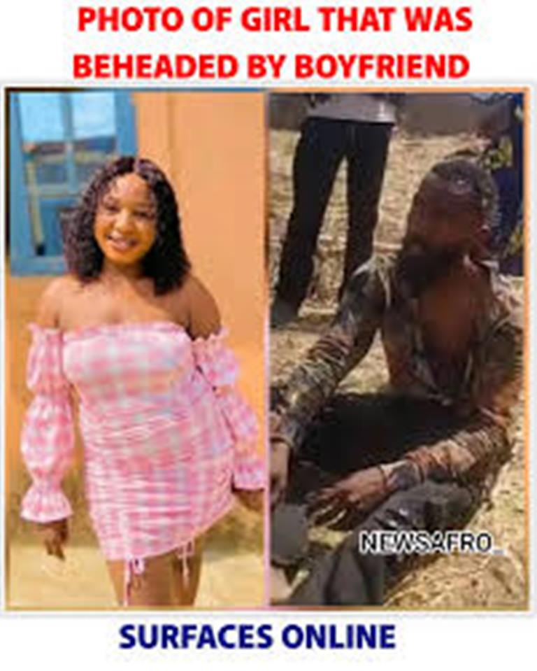 dbd61cae e475 47dd 9902 180a389f5162