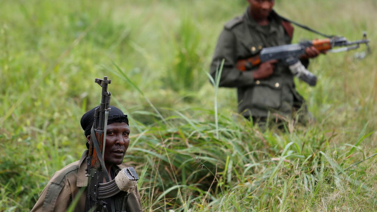w1280 p16x9 fardc troops
