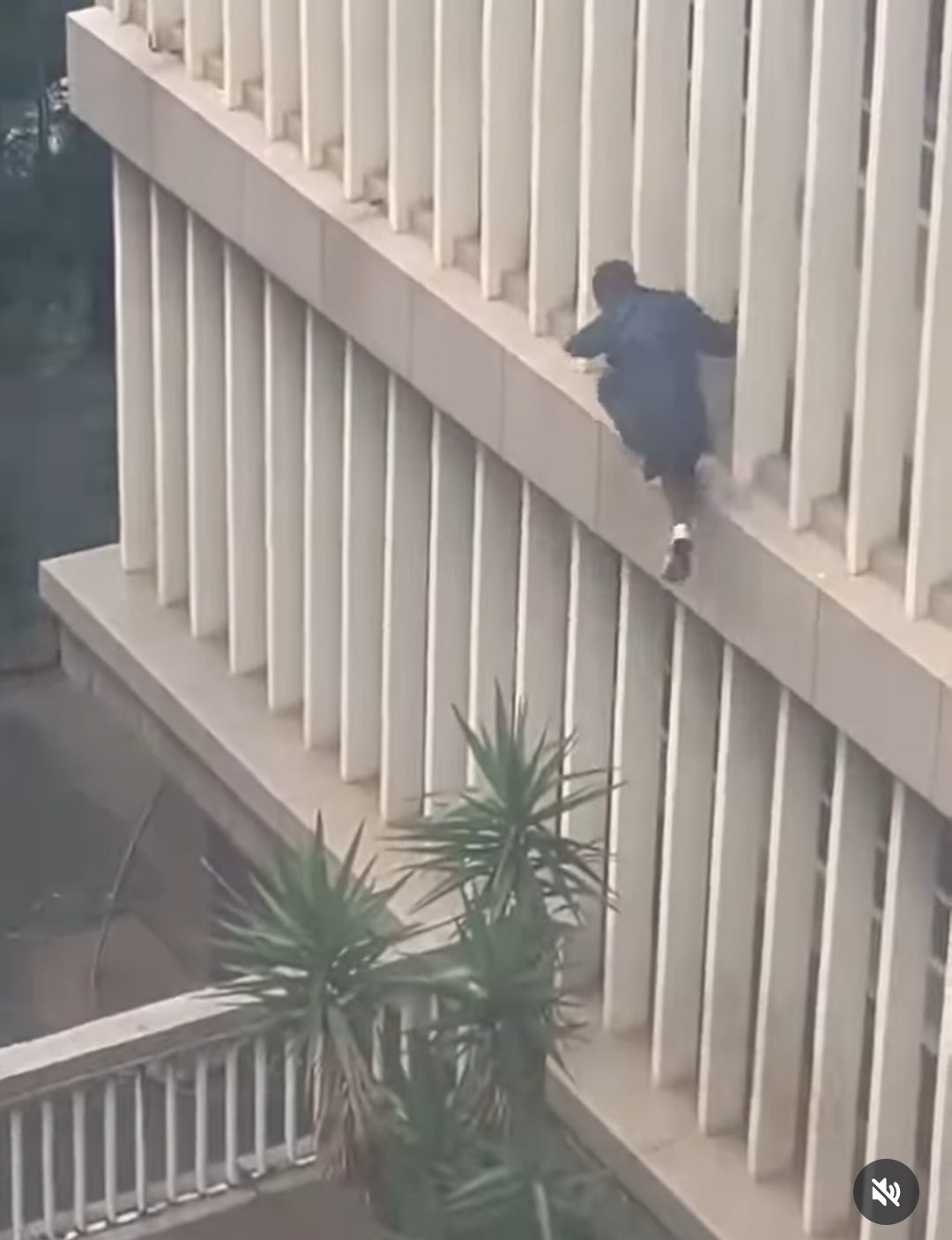 20250219 191944 1739989953