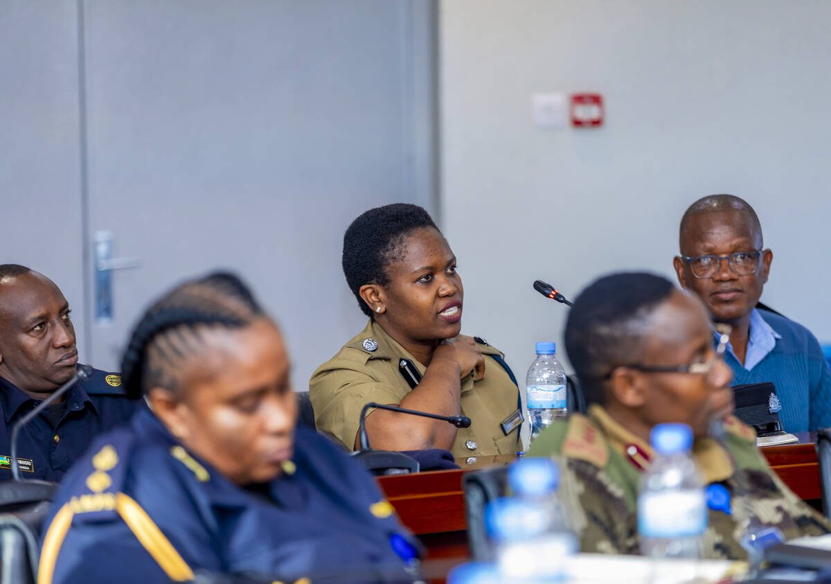 csm SENIOR C 5 aa14f3ce52