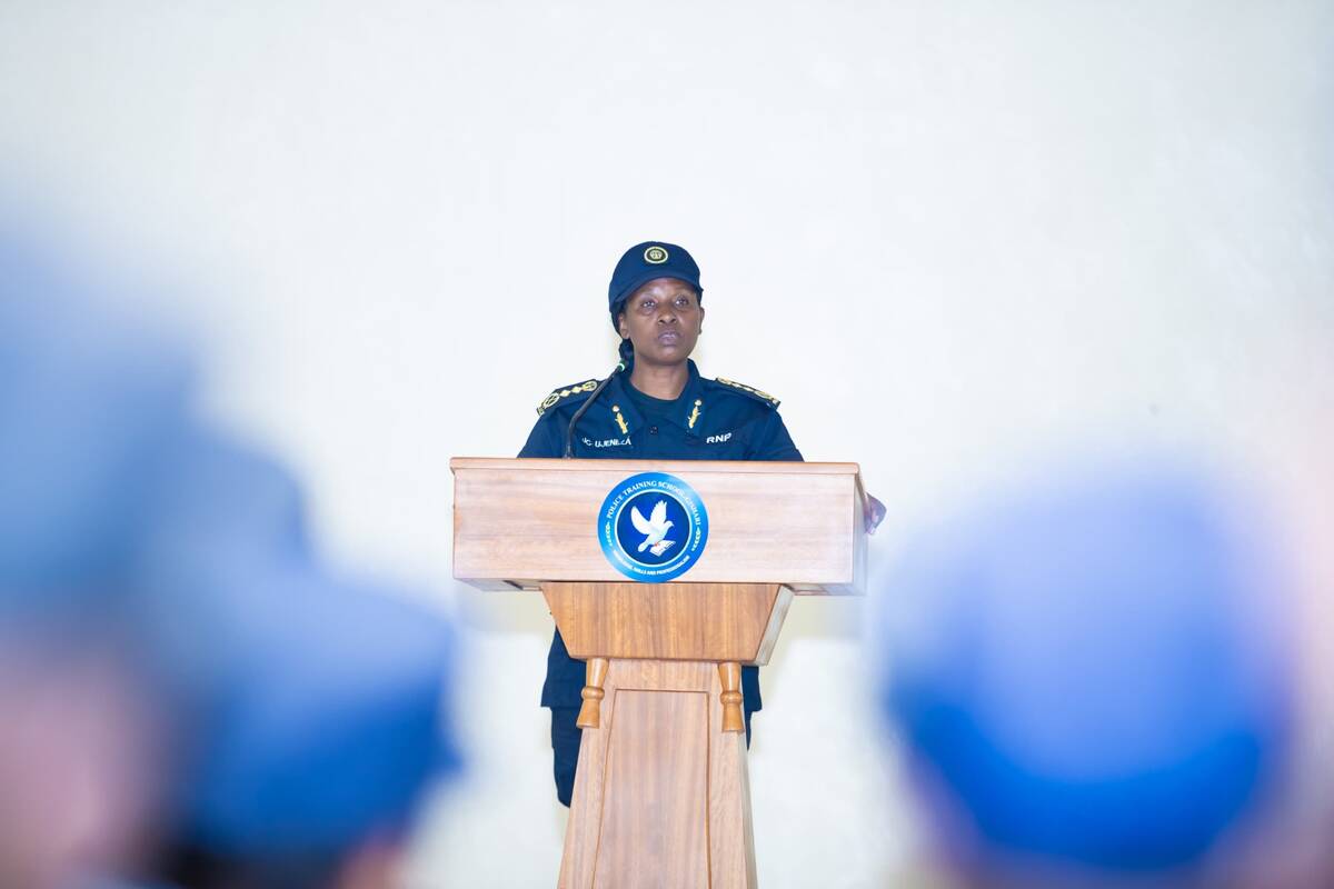 csm WhatsApp Image 2025 02 13 at 17.51.46 e481f86e 9eba6dd5a2