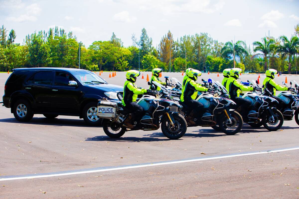 csm WhatsApp Image 2025 02 13 at 17.51.47 20f289b6 68756bbe51