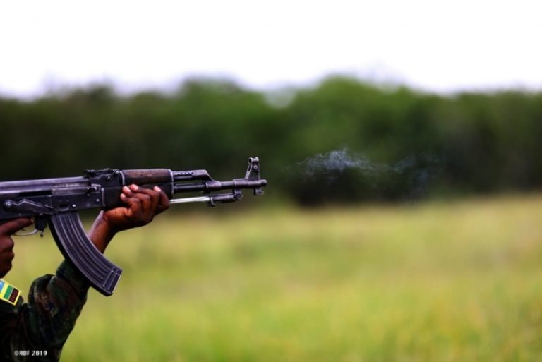 16 382 81a5b 768x513 1