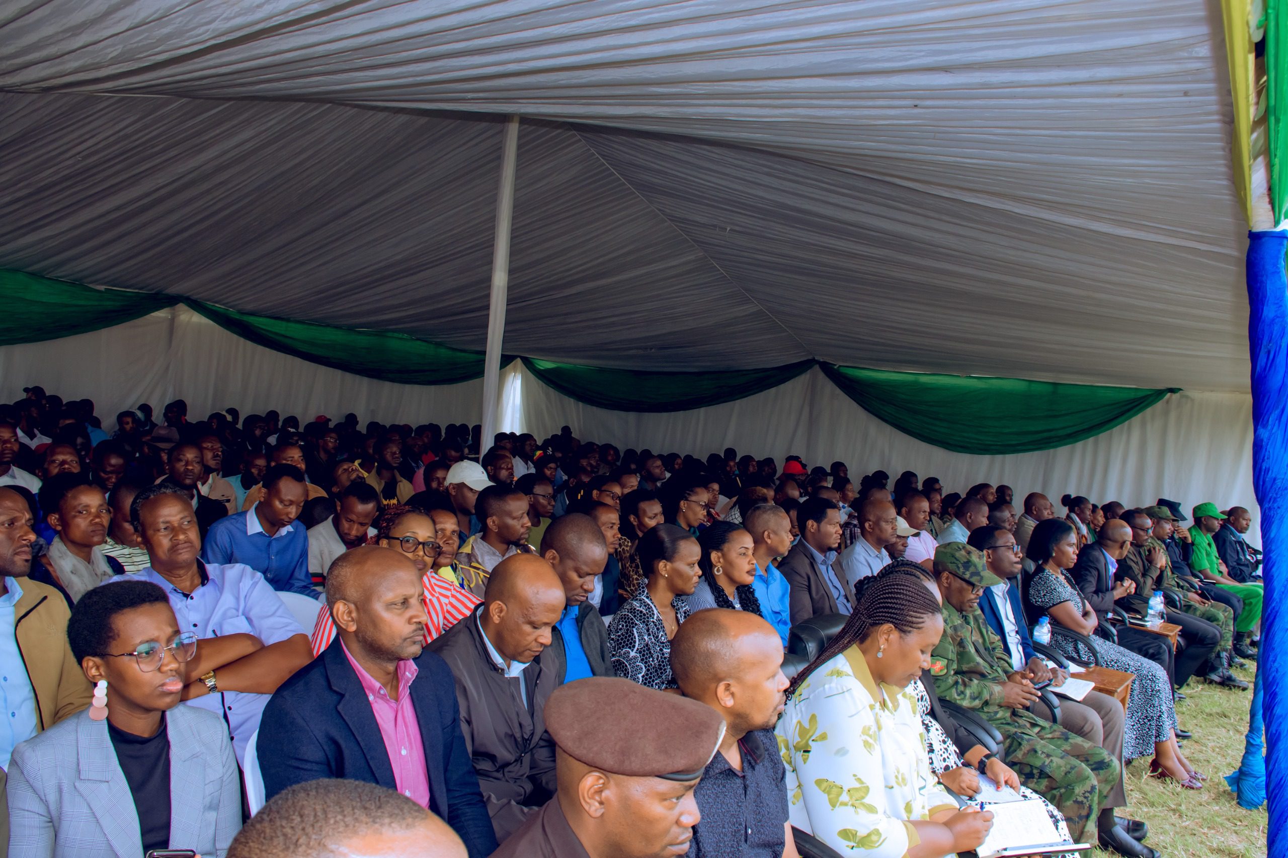 3e820347 1ed5 40b2 92b1 e040aa8831fb