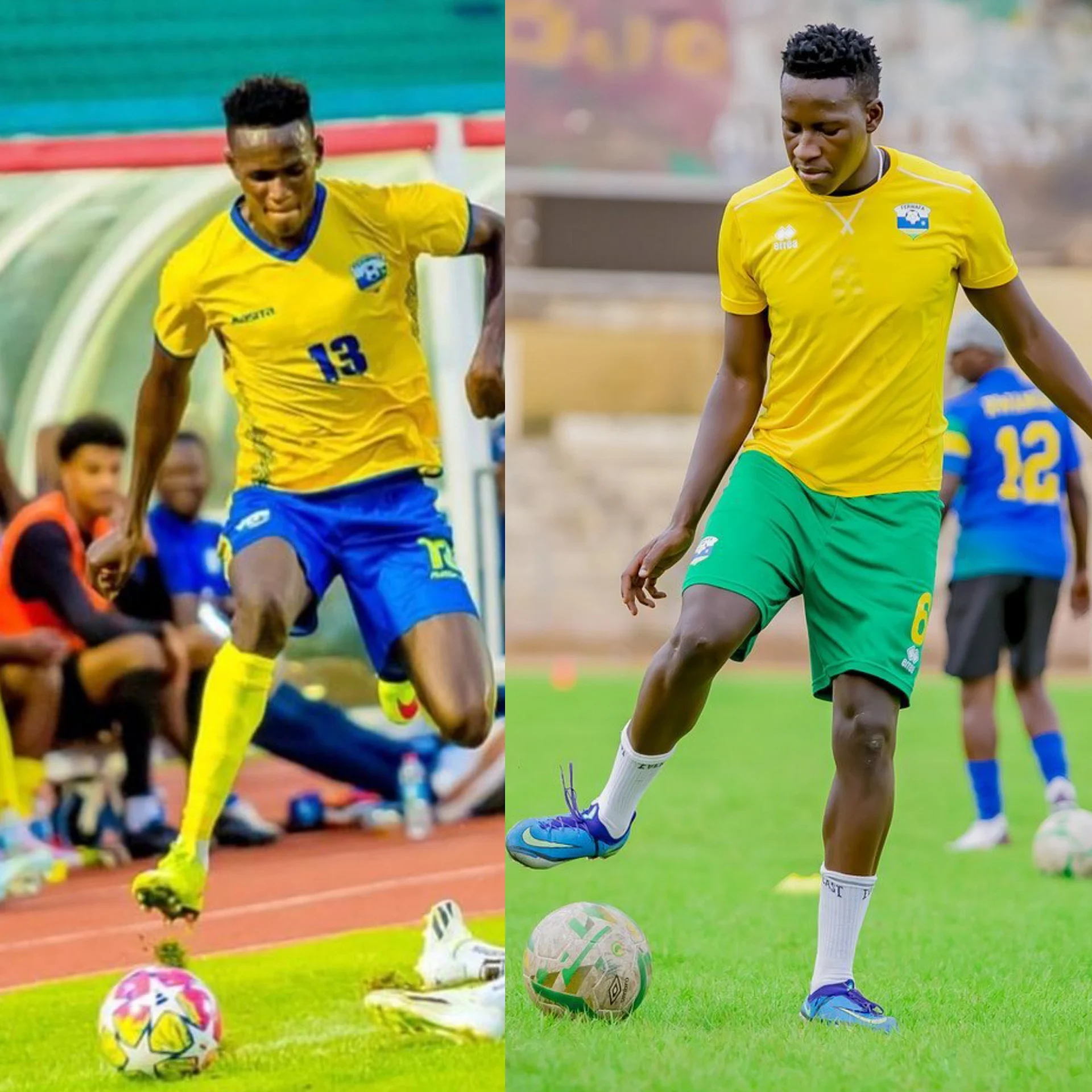 fotogrid 20250317 211614472