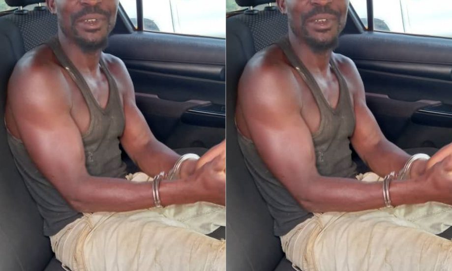 GridArt 20250407 91805620