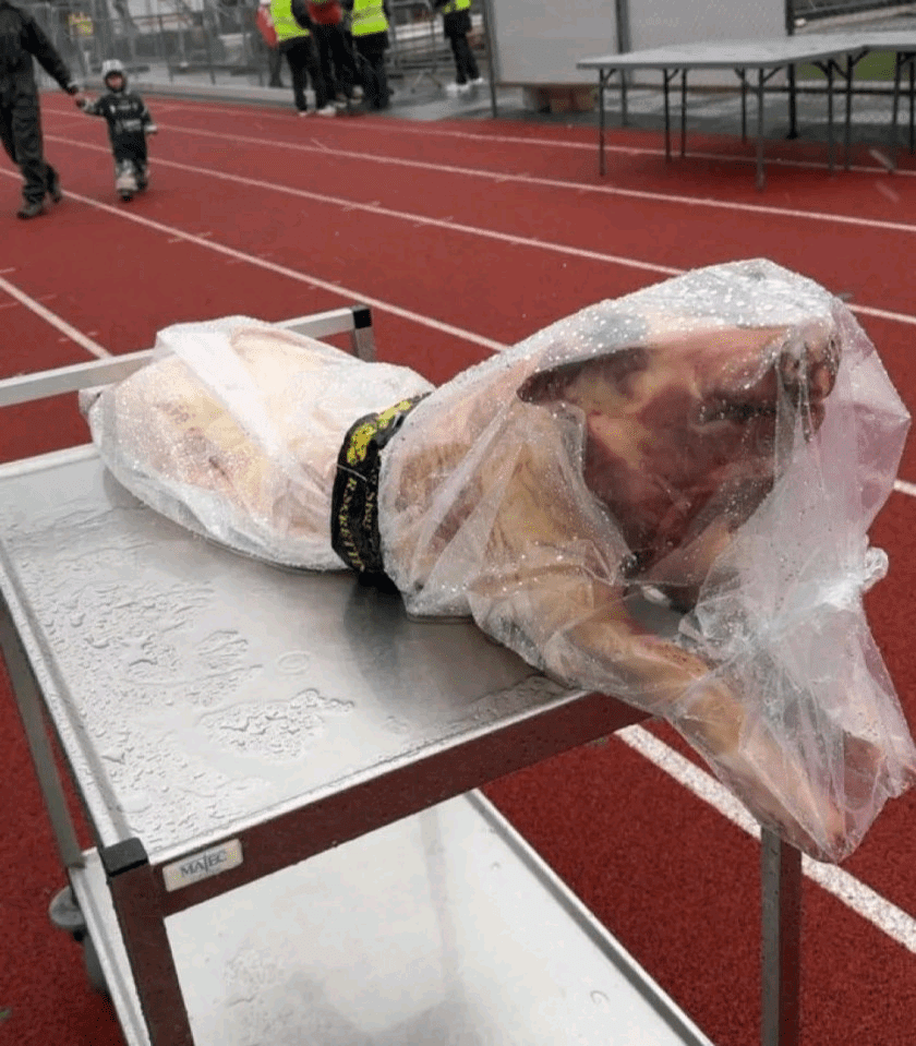 c00b9542 1432 4053 adfb 79e473702abe