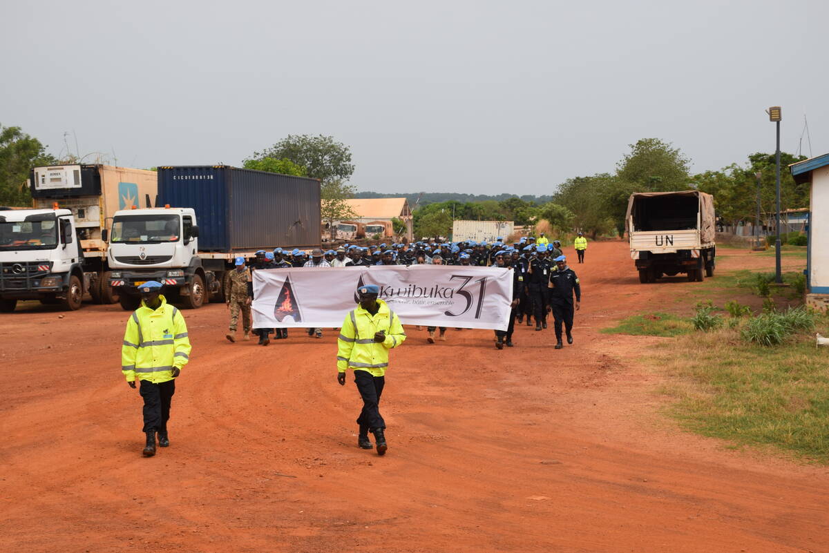 csm DSC 0106 d4f2a31648