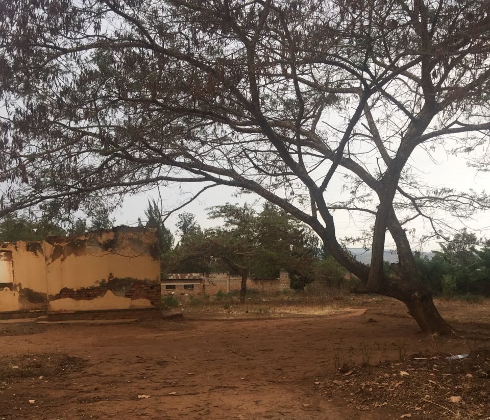 whatsapp image 2017 03 13 at 10.18.32 am 66d04