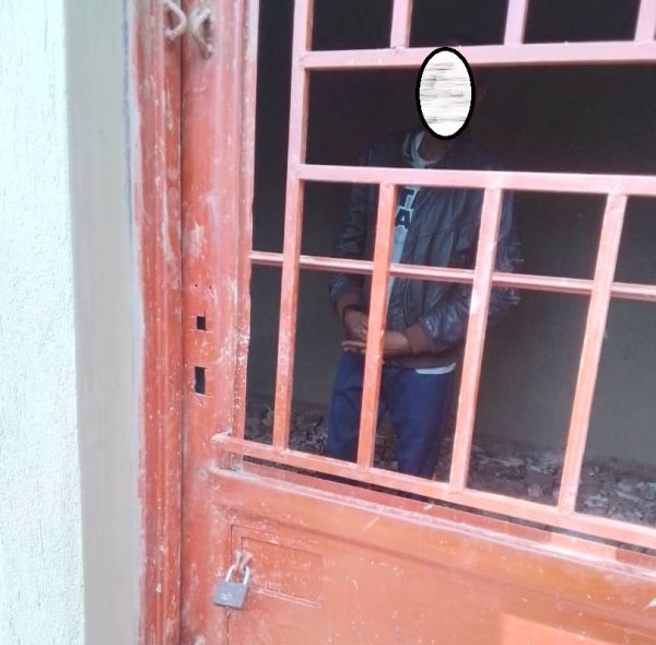 540ef289 8c00 4541 b5dc 36cdd8bfe841 0099c