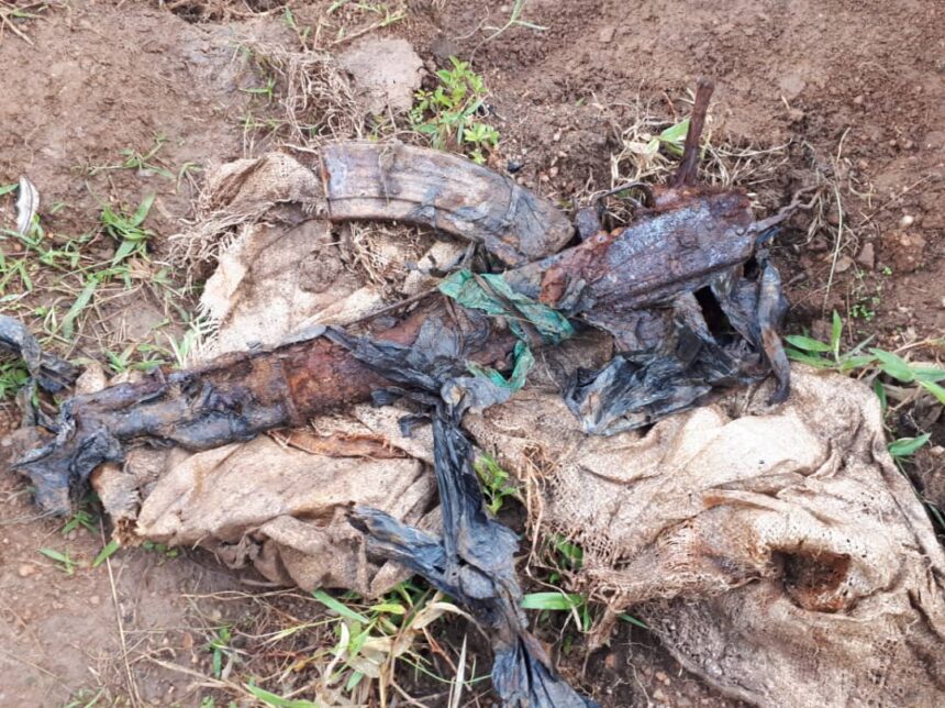 7c770302 e332 45e3 ace7 7a03c251f4f2 860x644 1