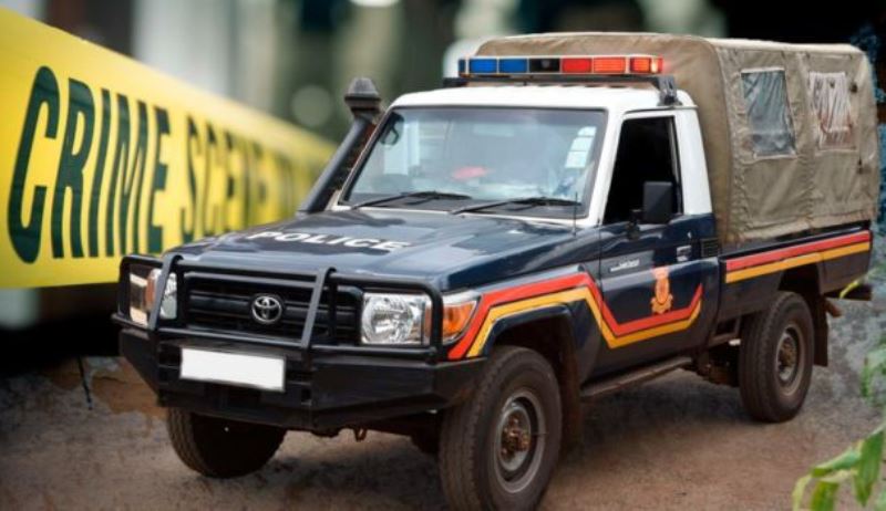 9251a96e 84c5 44e0 9d31 57c128b992ef