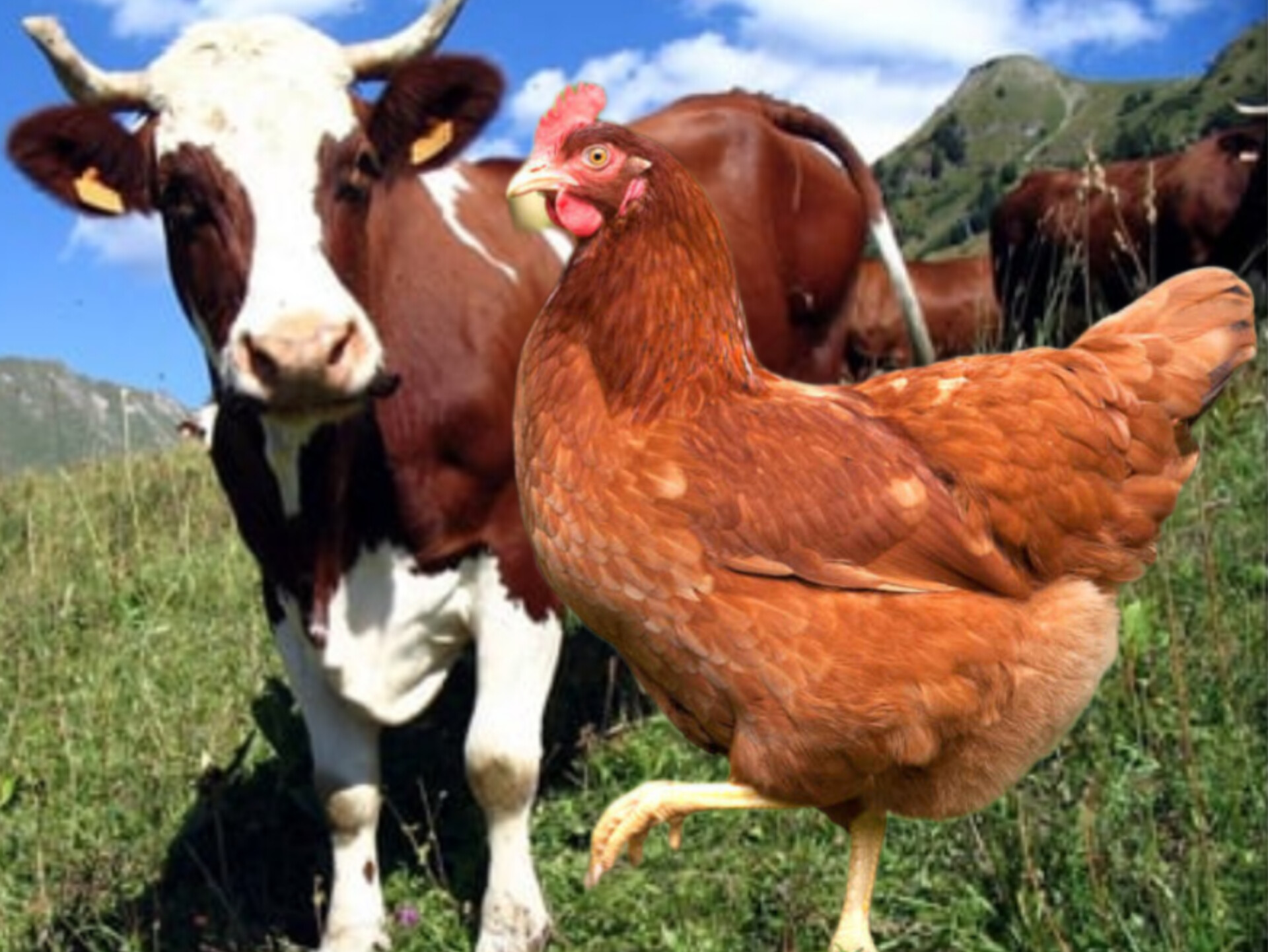 InShot 20250520 091129746