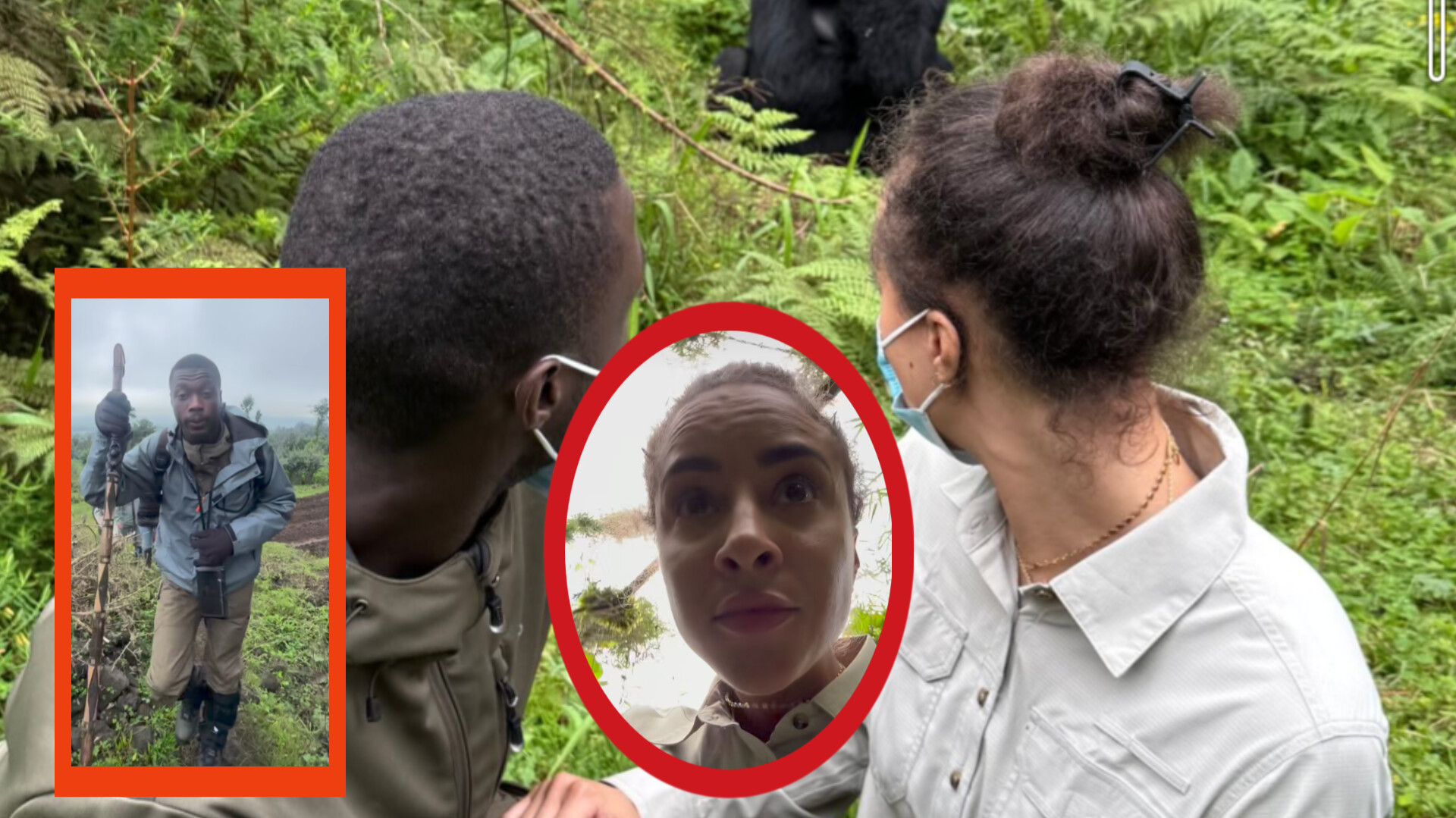 InShot 20250530 100545441