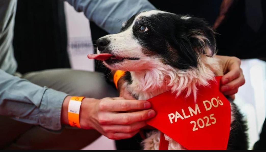 Screenshot 20250524 0715402