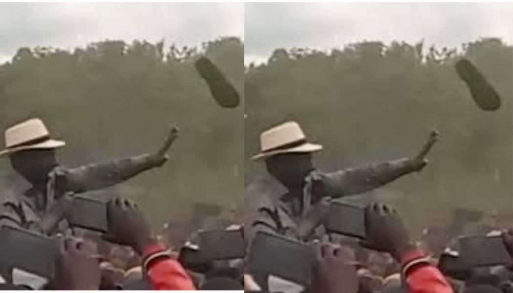 Untitled design 2025 05 04T231123.049