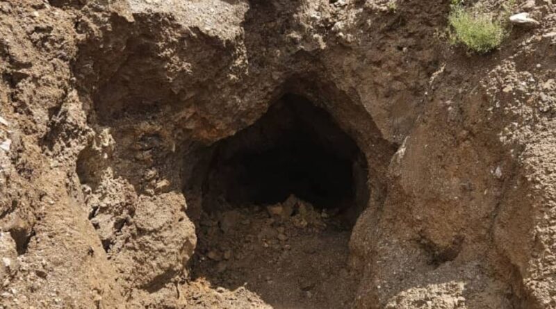 miner 800x445 1