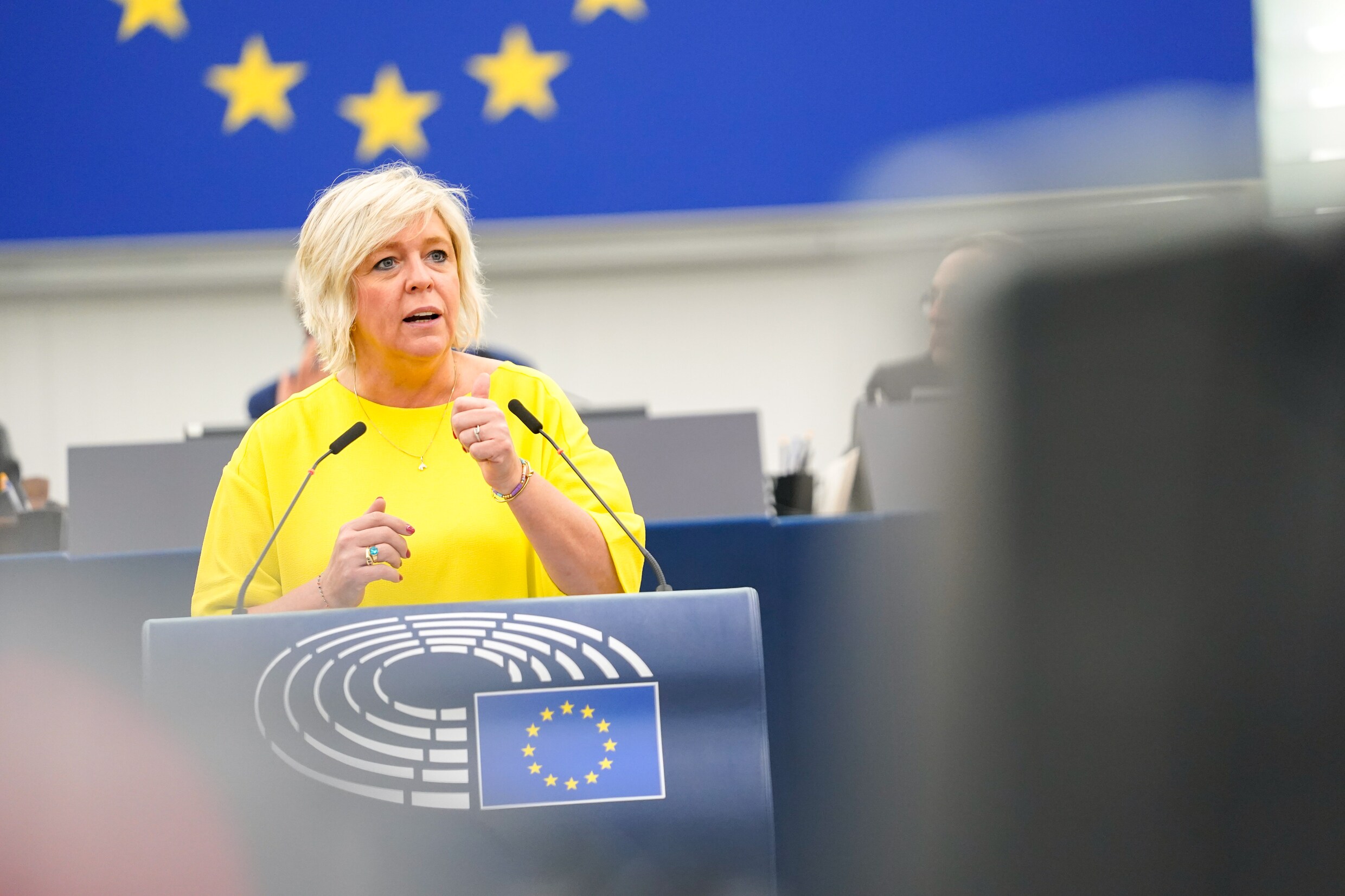 open vld parlementslid hilde vautmans in het europees parlem