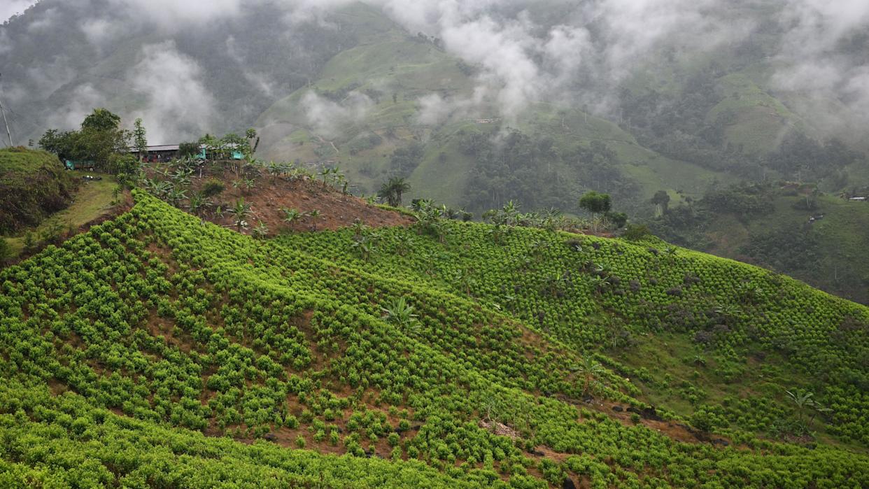 72a419d4742221b6b8225ab93330cb90