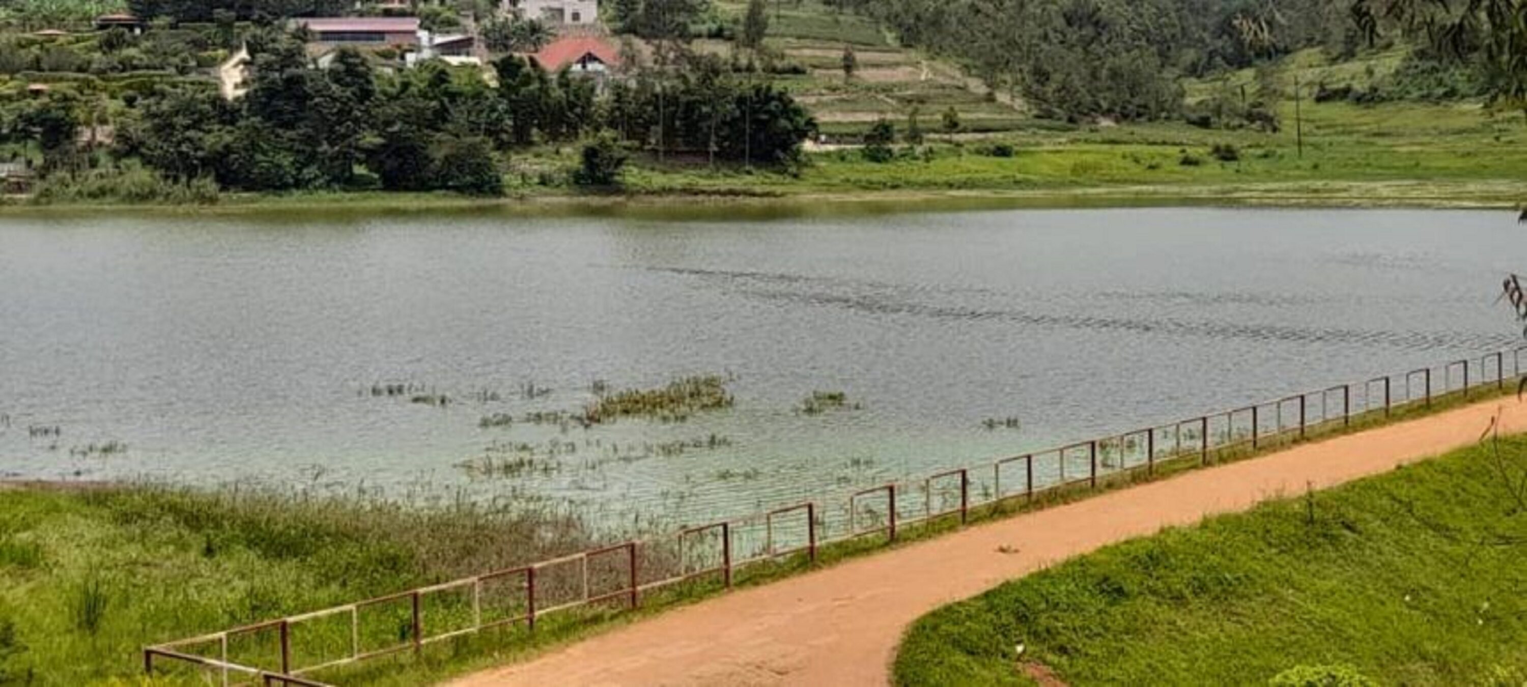 89f48f71 7101 4e1b 894f 728a6afc28cc