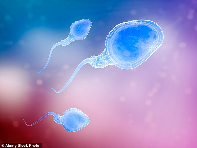 98561901 14859221 Research suggests male infertility is a factor in about half of a 63 1751240476210