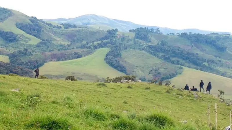 e125ad00 2cb9 11f0 b94c af824e2cce35.jpg