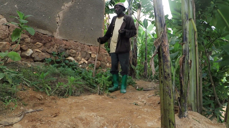 vlcsnap 2025 06 27 09h39m47s038