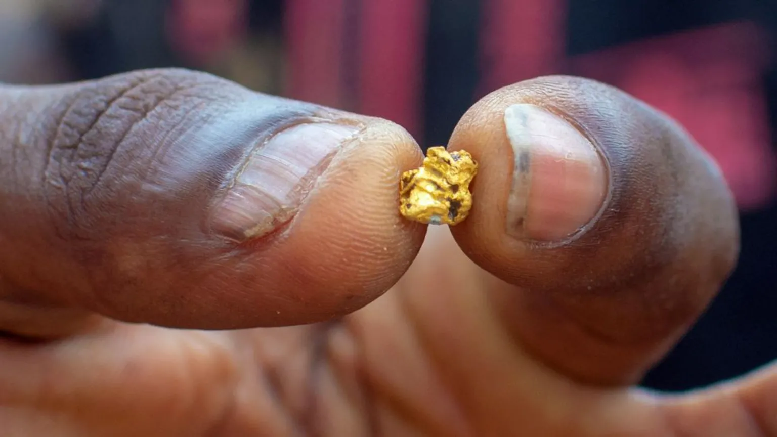 Sahel’s Blood Gold: Soaring Prices Fuel Conflict, Not Prosperity 72 de77a360 568f 11f0 b5c5 012c5796682d.jpg