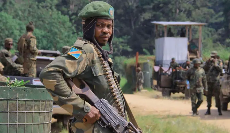 ec41f1f0 0af7 11f0 88b7 5556e7b55c5e.jpg 1