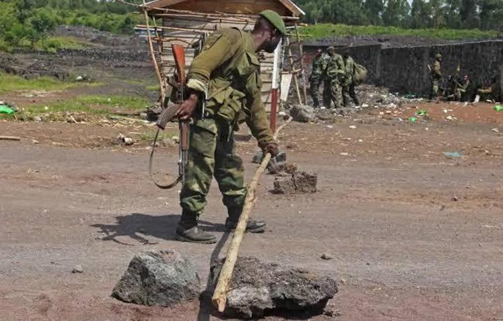 sm 1727368396.081286