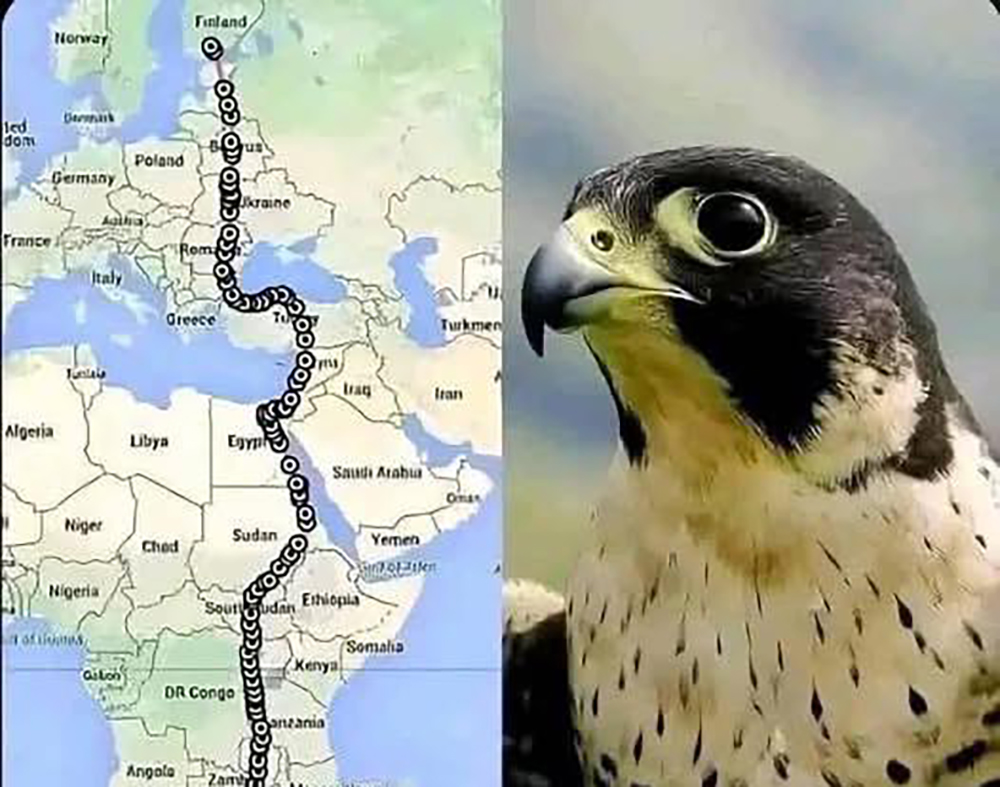 WhatsApp Image 2025 08 08 at 09.39.34