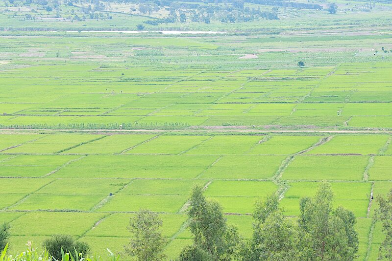 csm UMUCERI7 5c20ef39ef