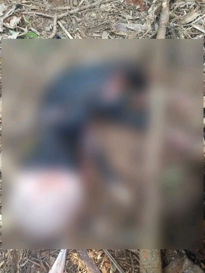 Burundi: Inka yabyaye inyana itagira umutwe 17 1758873790657